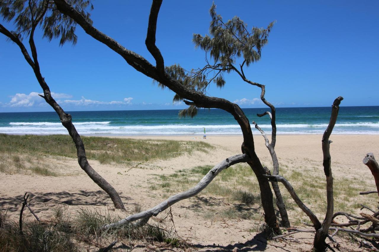 Sea-Hi Beachside Apartment Maroochydore Eksteriør bilde